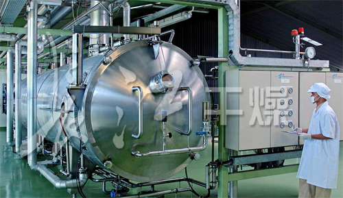 低温真空固体多层带式干燥机