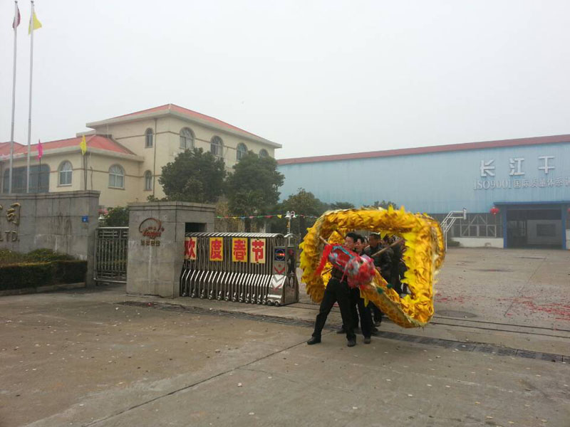 新年公司喜庆舞龙